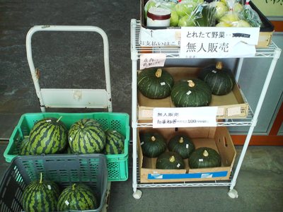 無人販売　すいか初登場