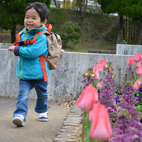 Nikon　D3100