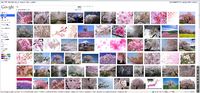 第５回やんちゃ会：例会の報告 2011/04/10 11:12:10