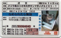 当たり前のことが…とても嬉しい！