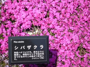 今日スタート