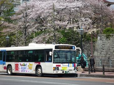 咲いた～♪