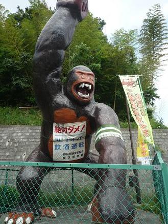 この顔にピンときたら、、、、、！