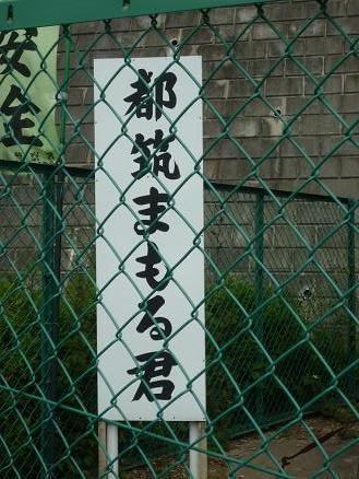 この顔にピンときたら、、、、、！