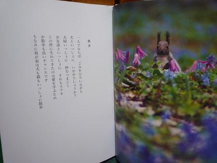 お気に入りの本♪