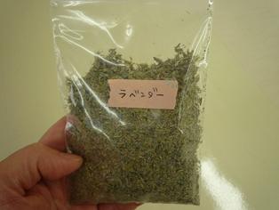 冬眠に入ります♪