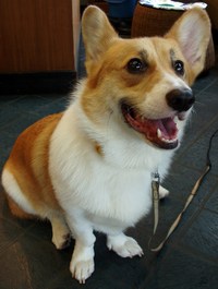 お店番はじめました