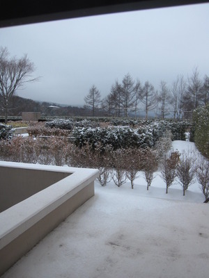 ☆　雪景色　☆