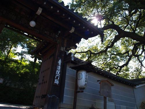 御朱印収集その１続き