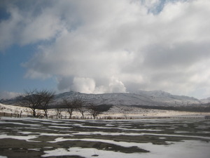 熊本満喫！