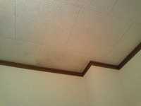 カビが取れない洗面所の天井を塗装しました。