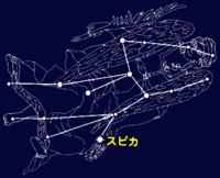 太陽星座☆おとめ座
